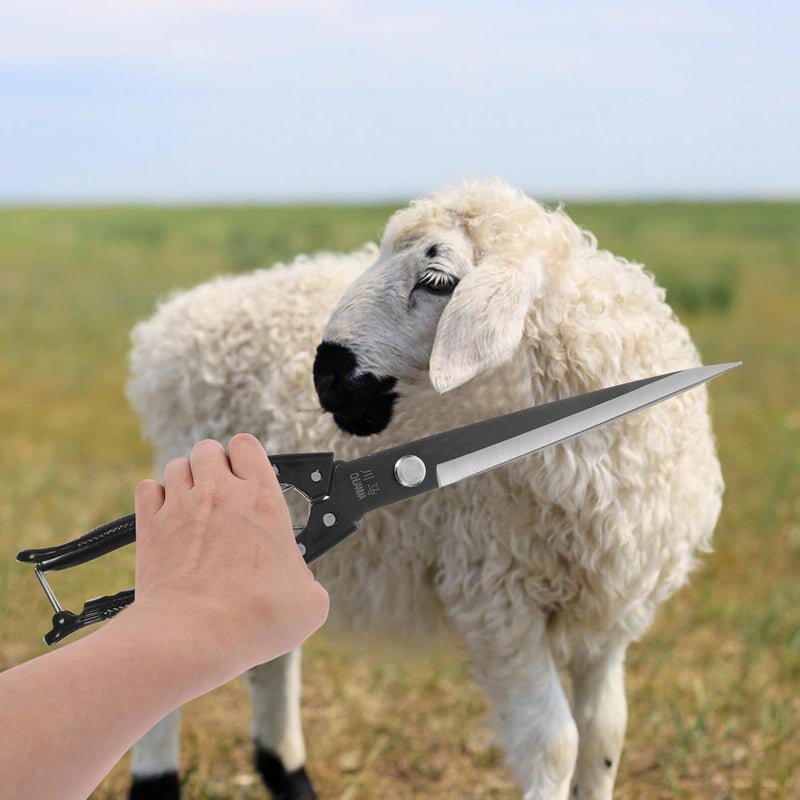 Yardwe مقصات الأغنام البيطرية 13.78 بوصة من الفولاذ الكربوني اليدوي مع مقبض مريح لتشذيب الحيوانات الزراعية بما في ذلك الأغنام والماعز والأبقار - Image 2